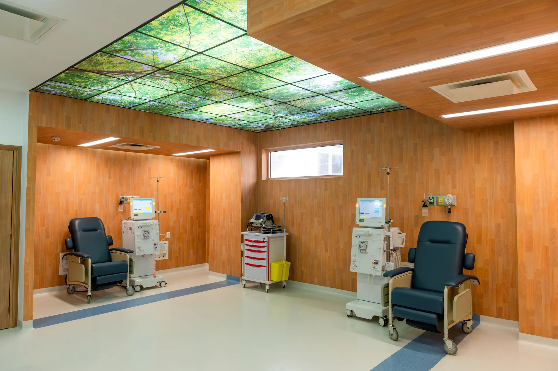 Centro Renal de Alta Especialidad y Hemodiálisis